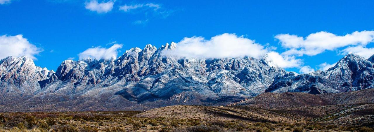 The Perfect Place . . . Here It Is! Las Cruces Extérieur photo