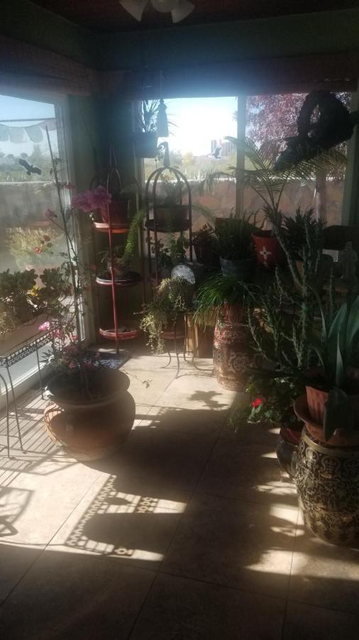 The Perfect Place . . . Here It Is! Las Cruces Extérieur photo