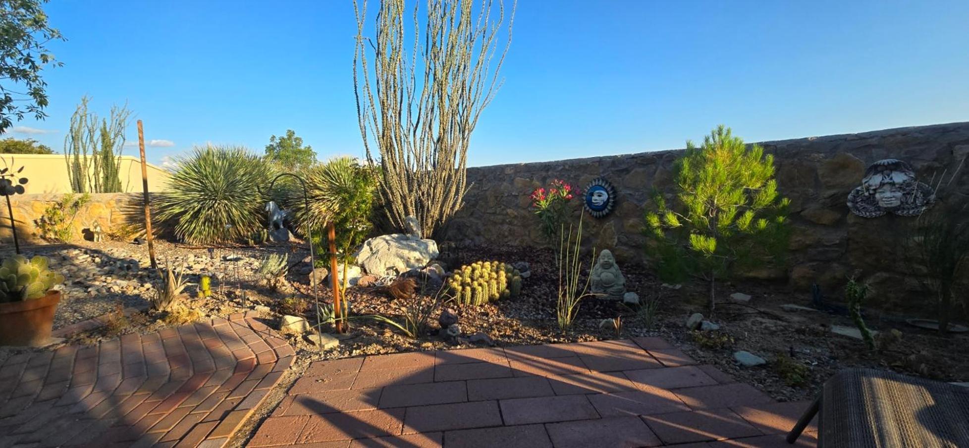 The Perfect Place . . . Here It Is! Las Cruces Extérieur photo